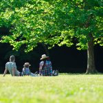 family in the lawn