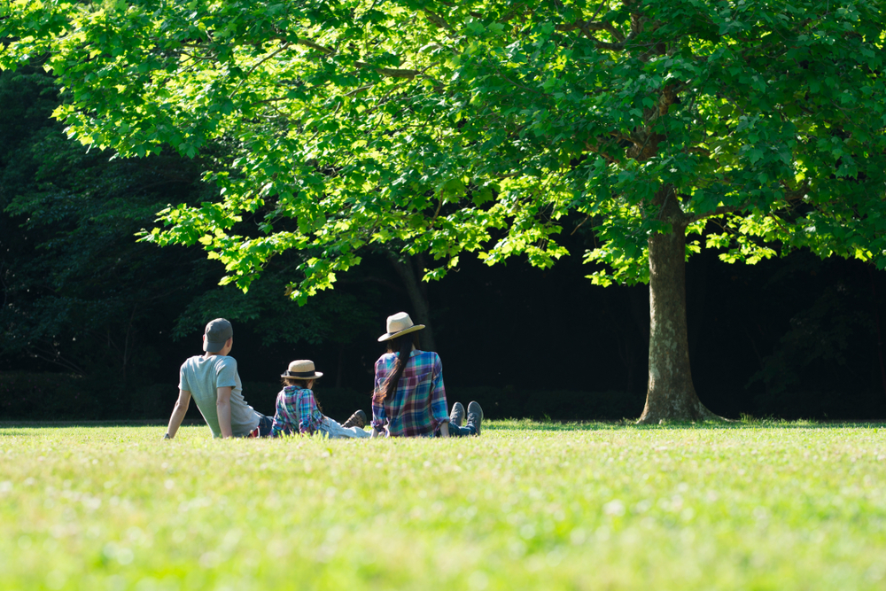 family in the lawn