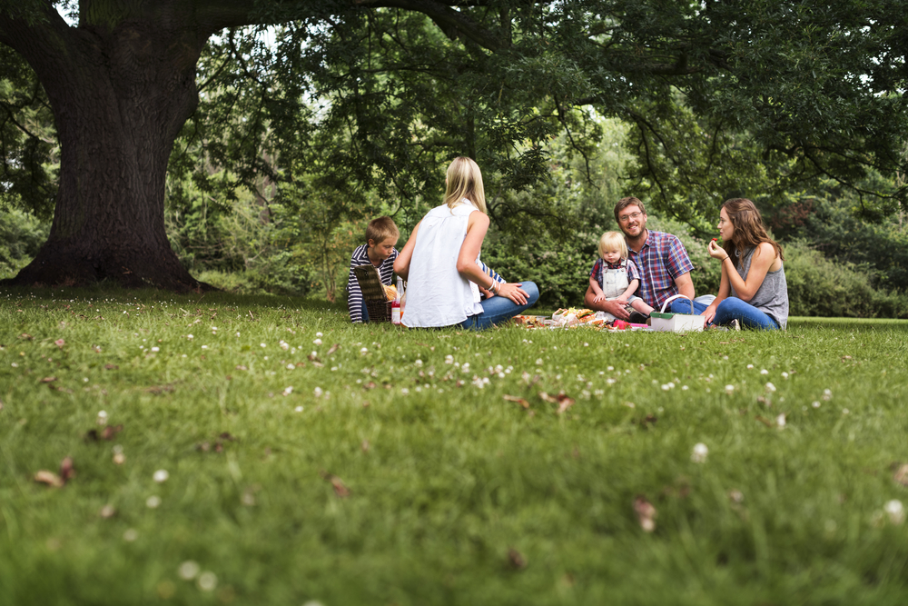 family enjoying a picnic